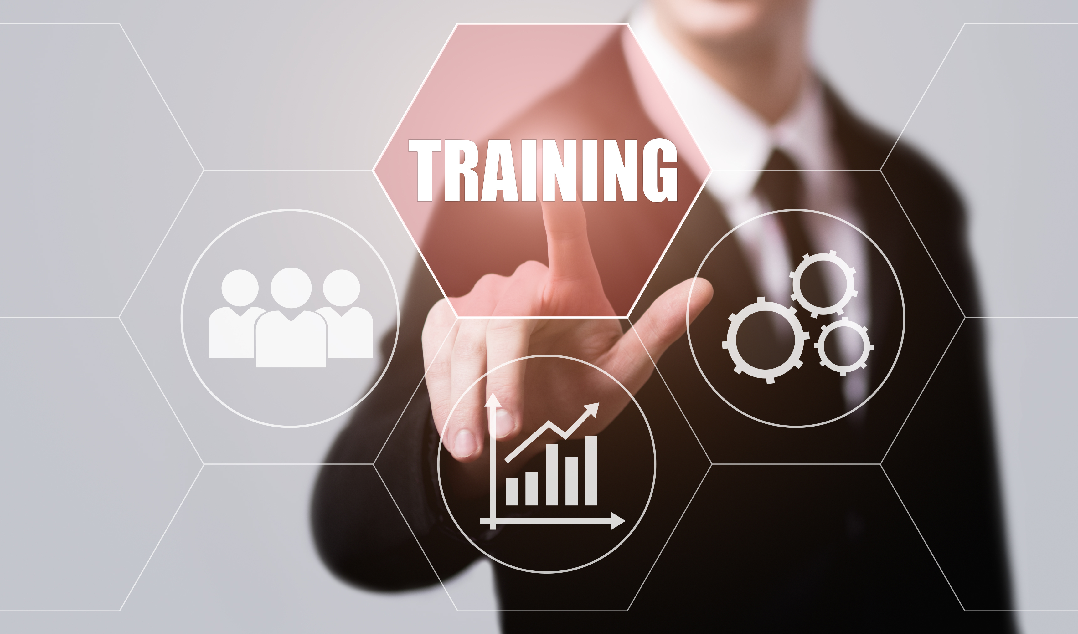 Case Study – Business Strategies and Sales Training 2